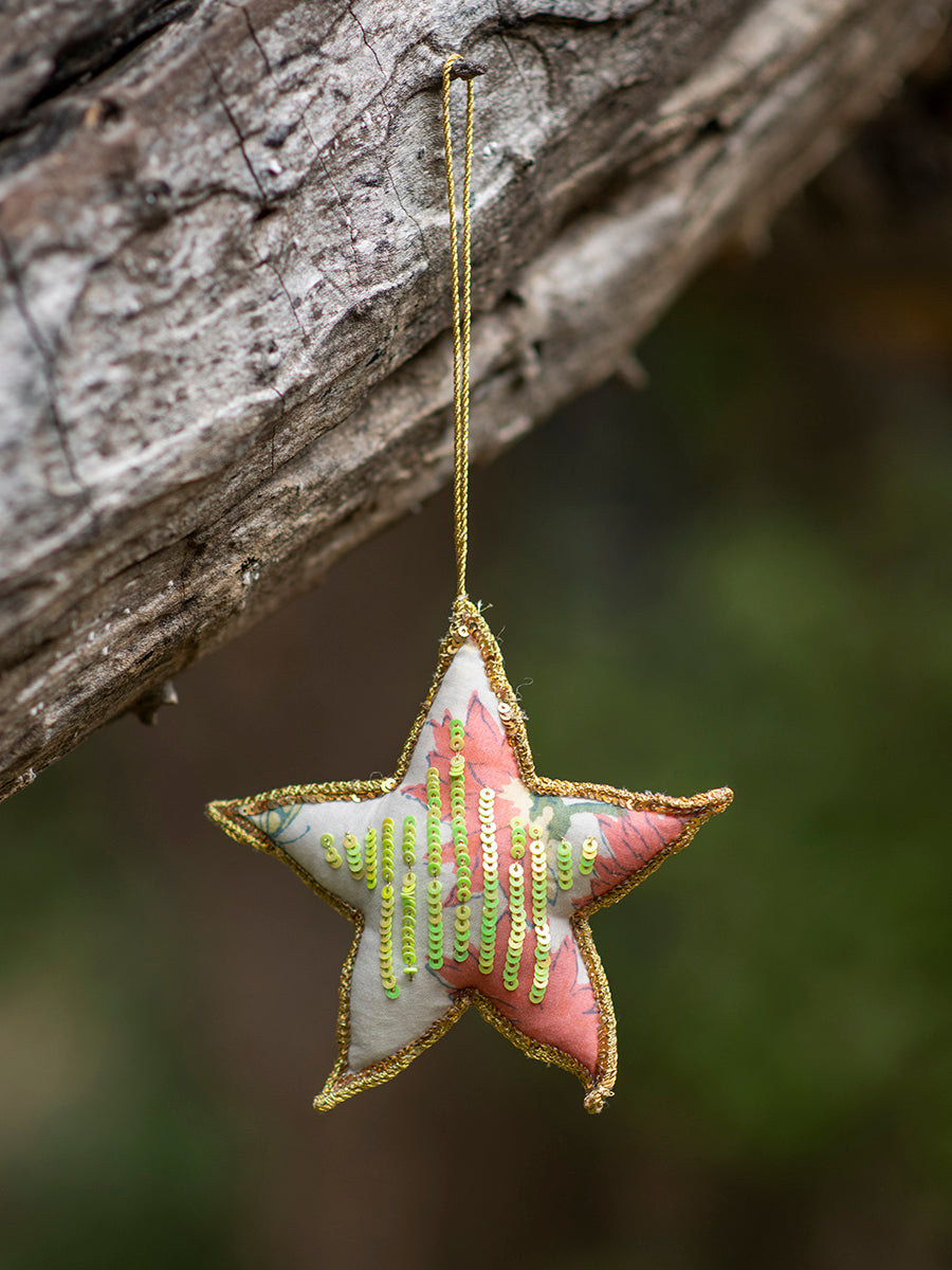 Star Single Hanging Assorted