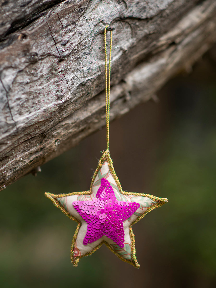 Star Single Hanging Assorted